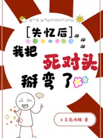 失忆后我把死对头掰弯了